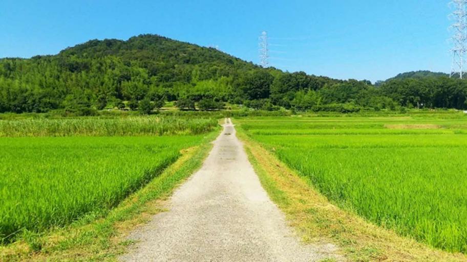 田舎のイメージ風景