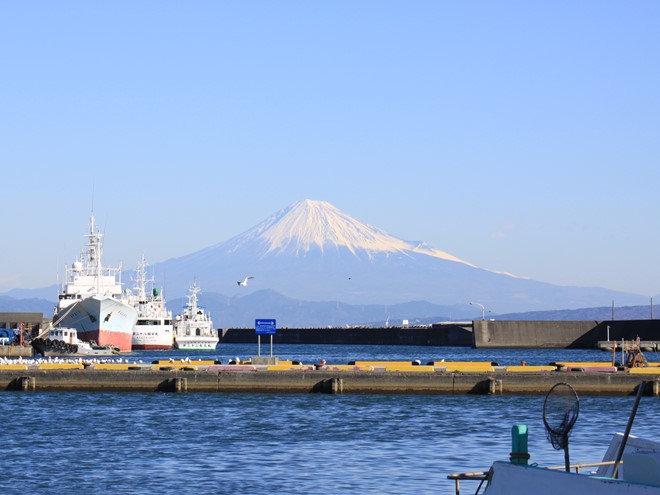 小川港