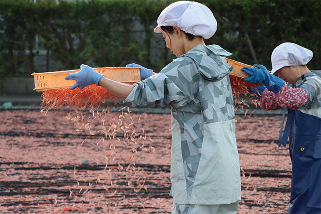 サクラエビの天日干し作業を行う従業員ら