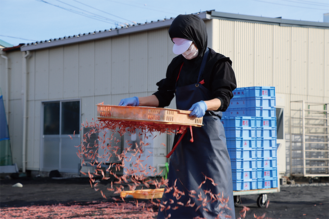 従業員により丁寧な天日干し作業が行われました