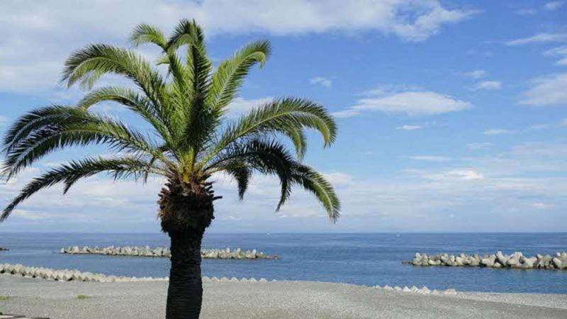 海岸から海を望む景色