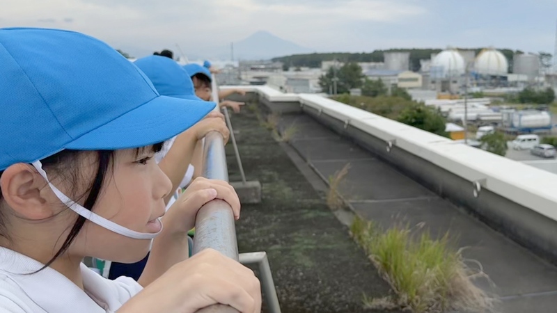 大井川港を観察する様子