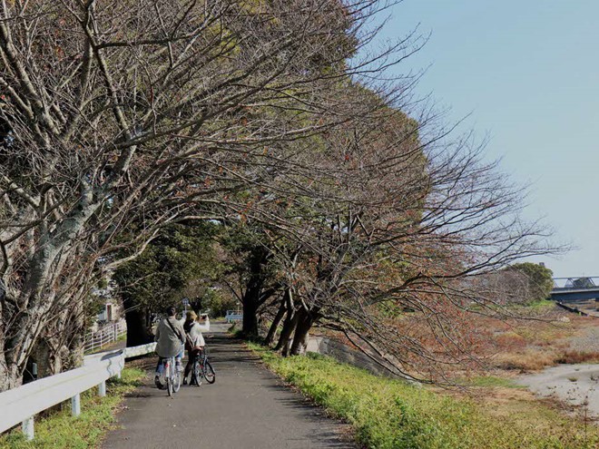 川沿いをサイクリング