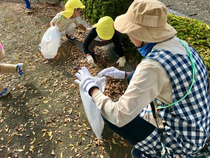 先生と協力して落ち葉を集めます