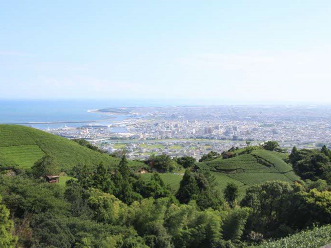 山頂から見える焼津市の街並み