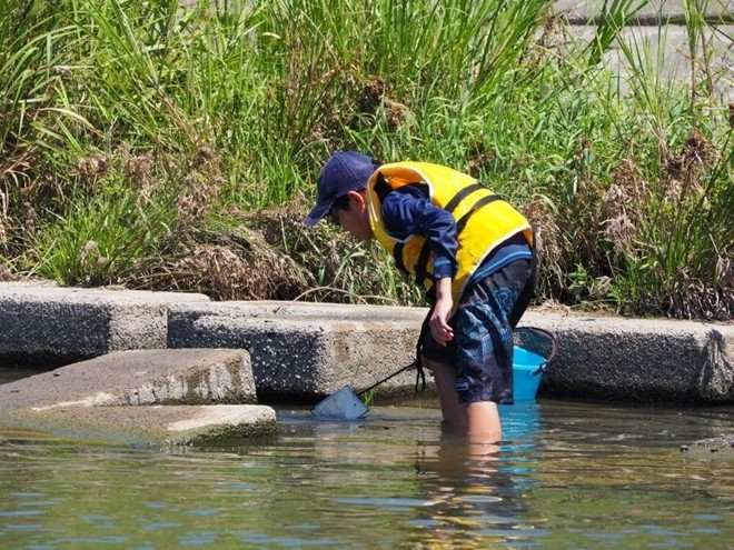 魚を網で捕まえる様子