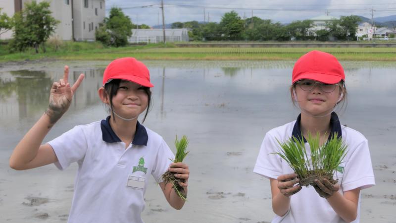 20250602東益津小5年生田植え（サムネイル）