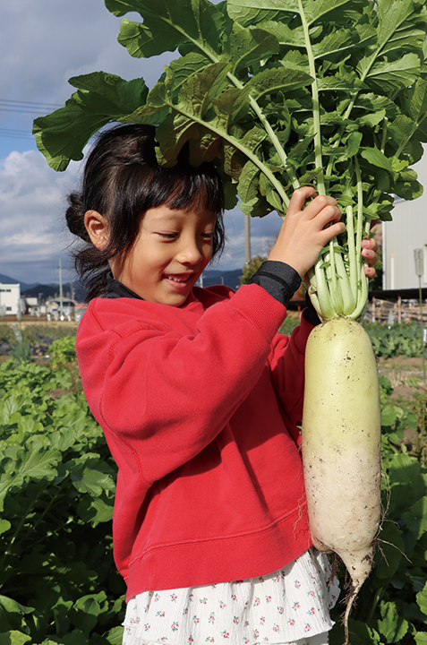 大きな大根を収穫すると満面の笑みを浮かべていました