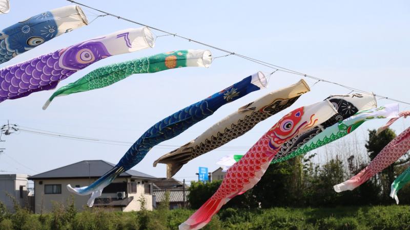 こいのぼりサムネイル画像