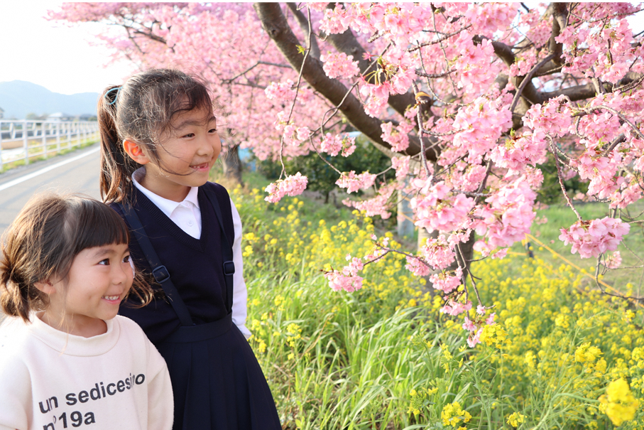 桜と菜の花の競演を楽しむ子どもたち